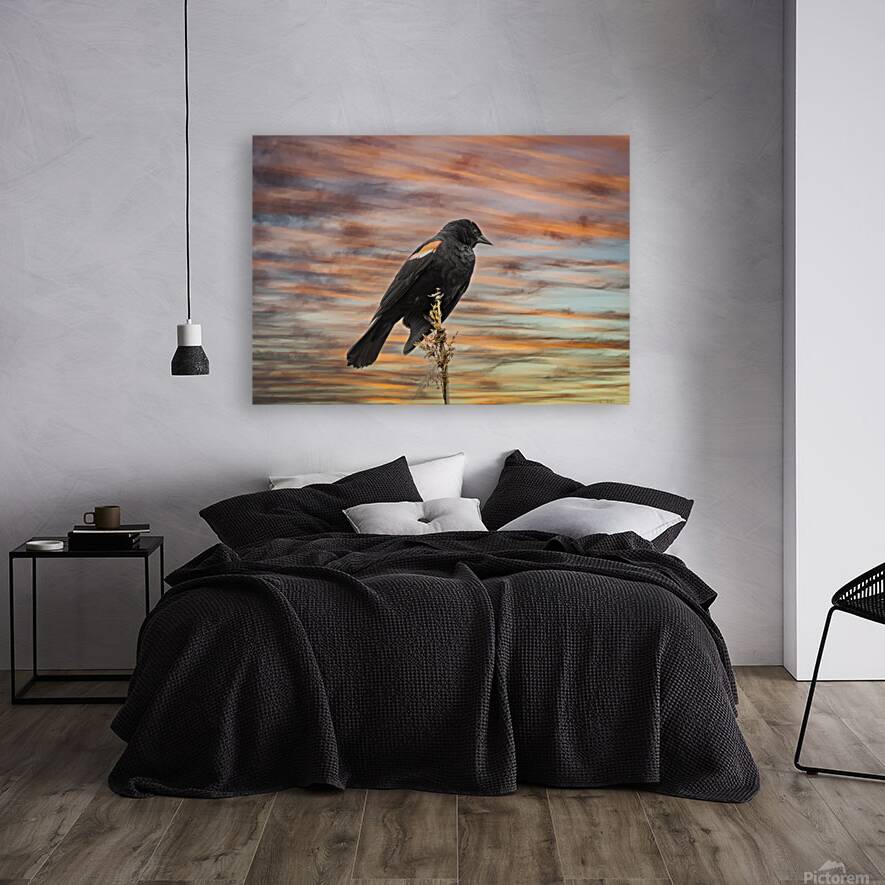 Silhouette Birds Sunset Reproduction