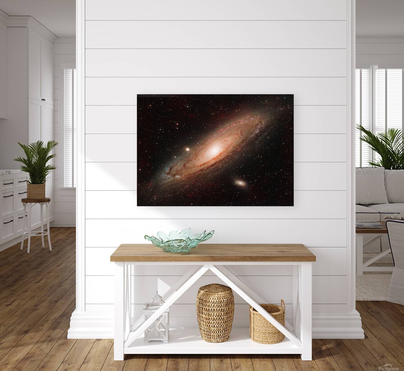 Andromeda Reproduction