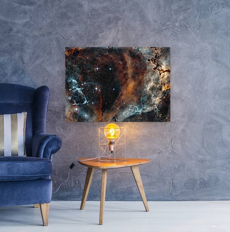 Rosette Reproduction