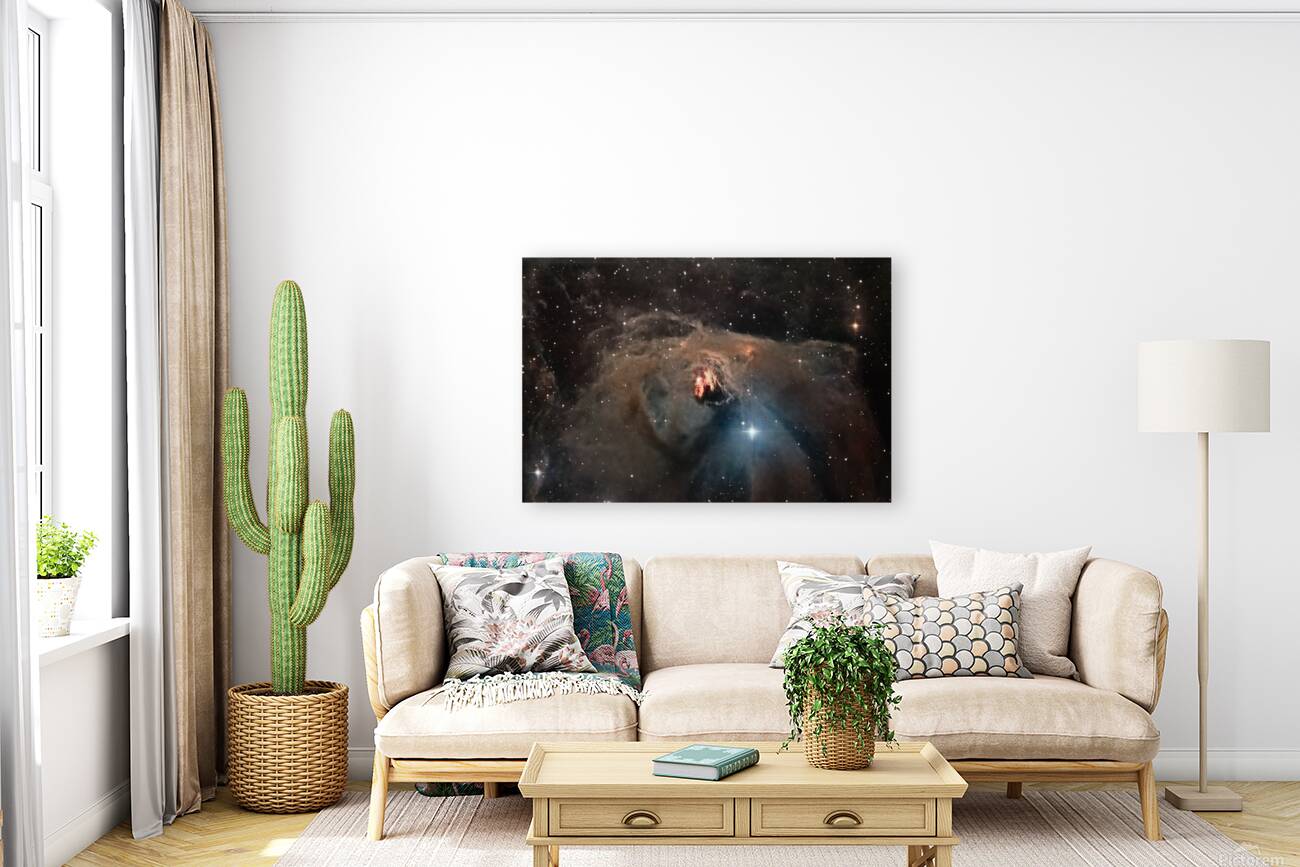 NGC 1555 Reproduction