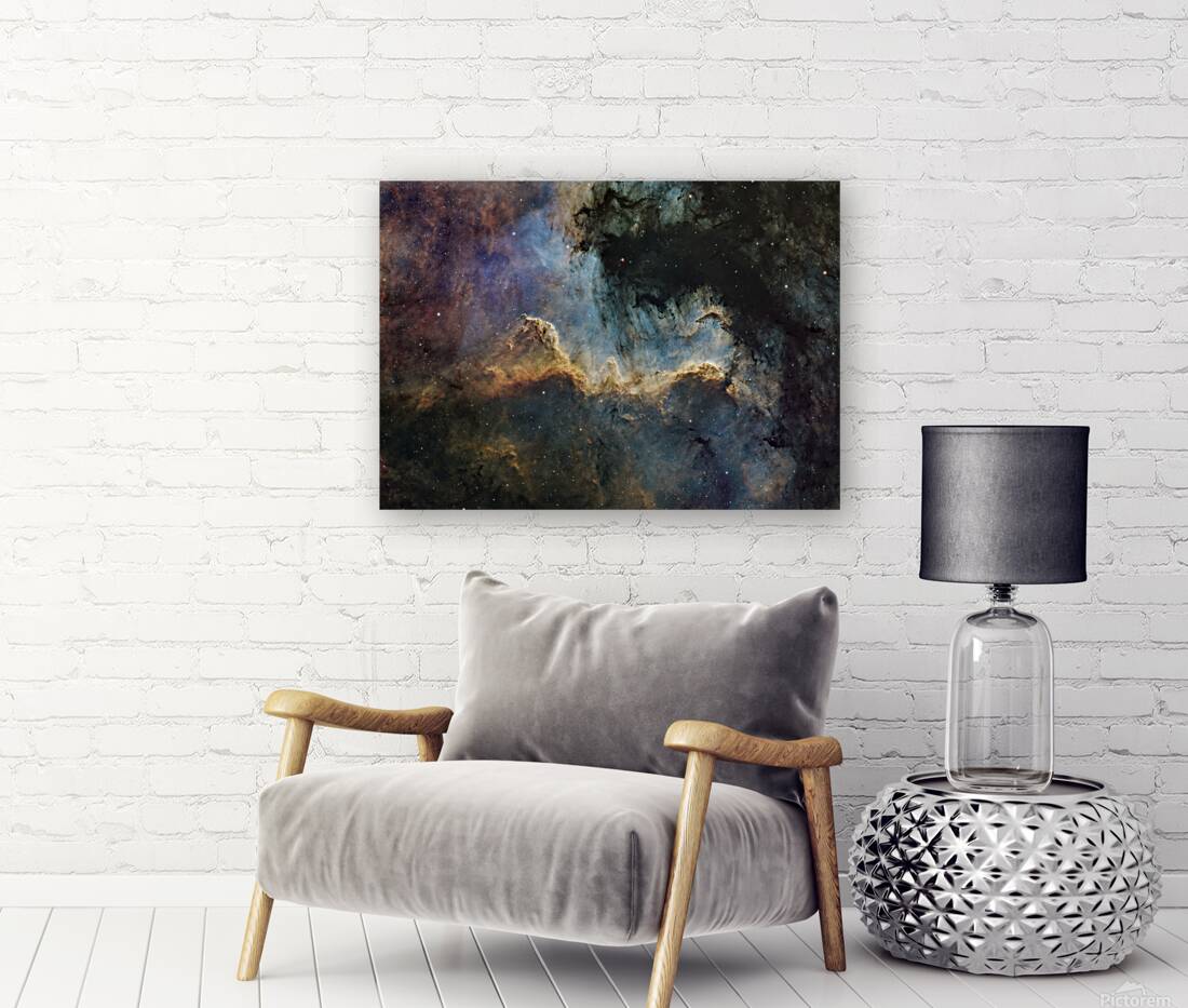 Cygnus Wall Reproduction