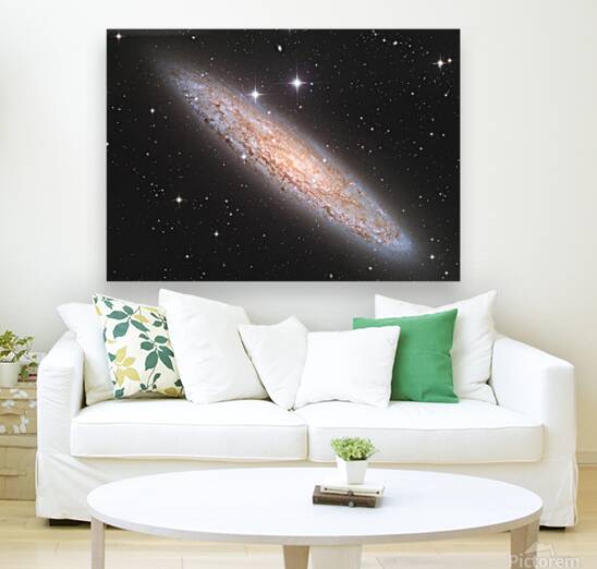 Sculptor Galaxy Reproduction