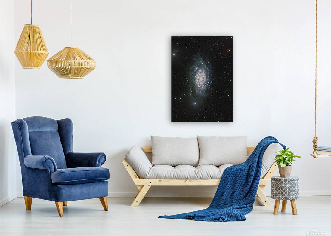 NGC2403 Reproduction