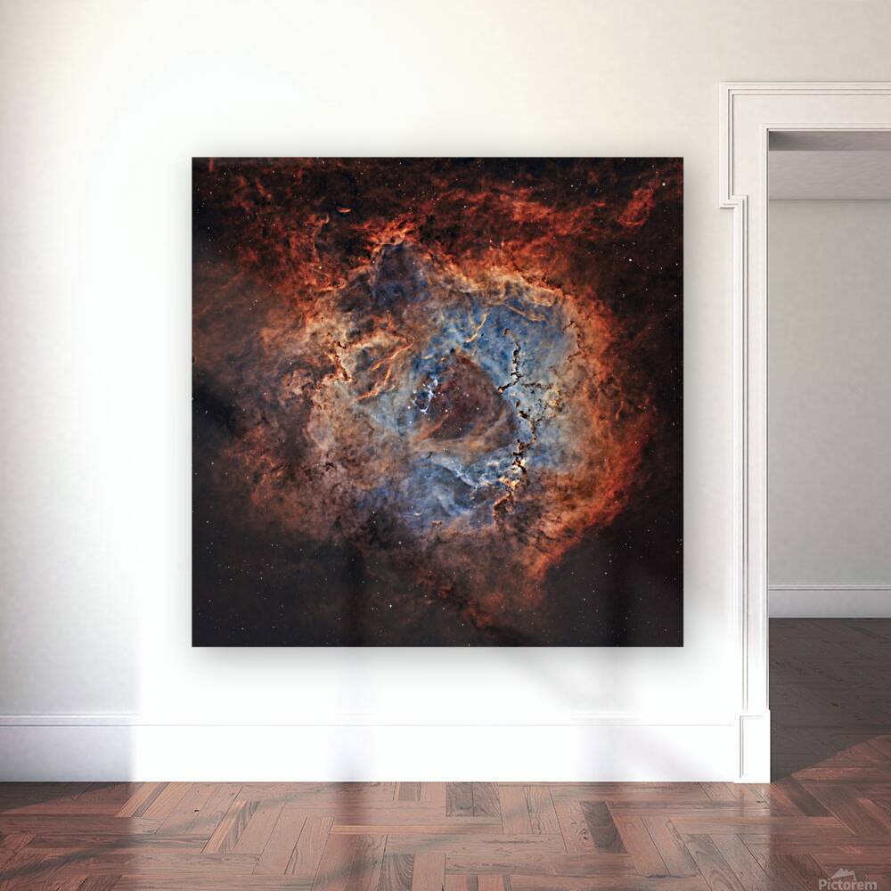Rosette Nebula Reproduction