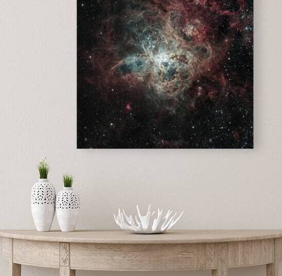 Tarantula Nebula by Toozastro