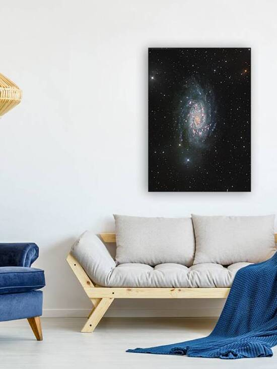 NGC2403 Reproduction