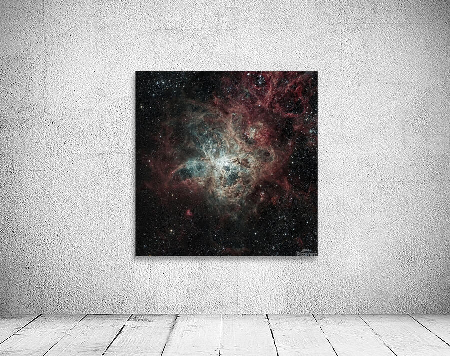 Tarantula Nebula Wall Preview