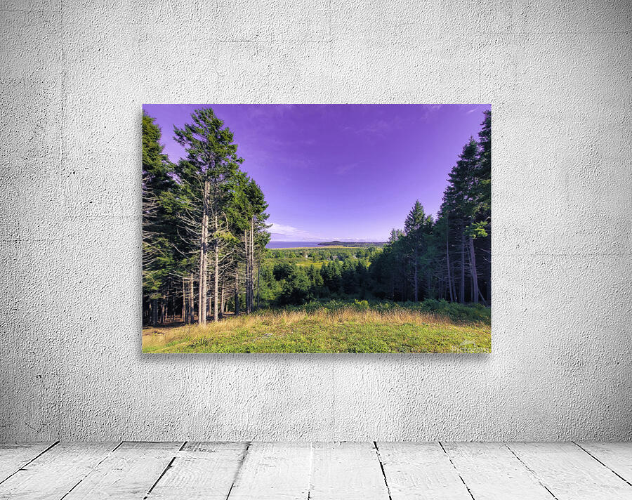 Sea view from Mountain Wall Preview