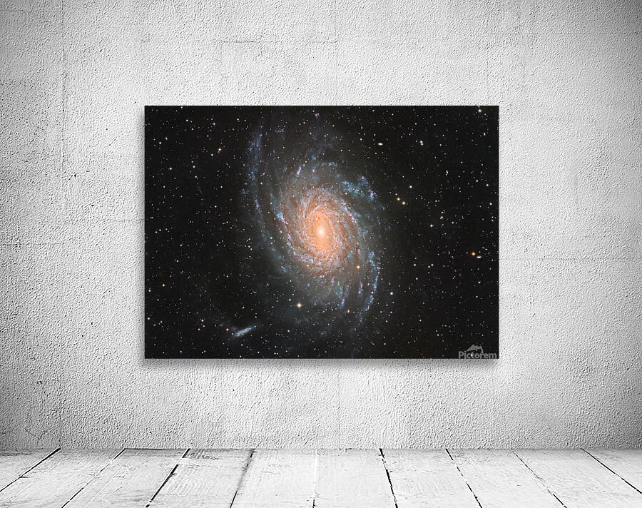 NGC 6744 Wall Preview