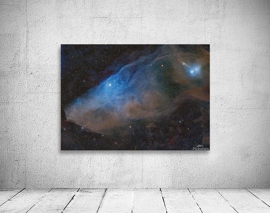 BlueHorseHead Wall Preview