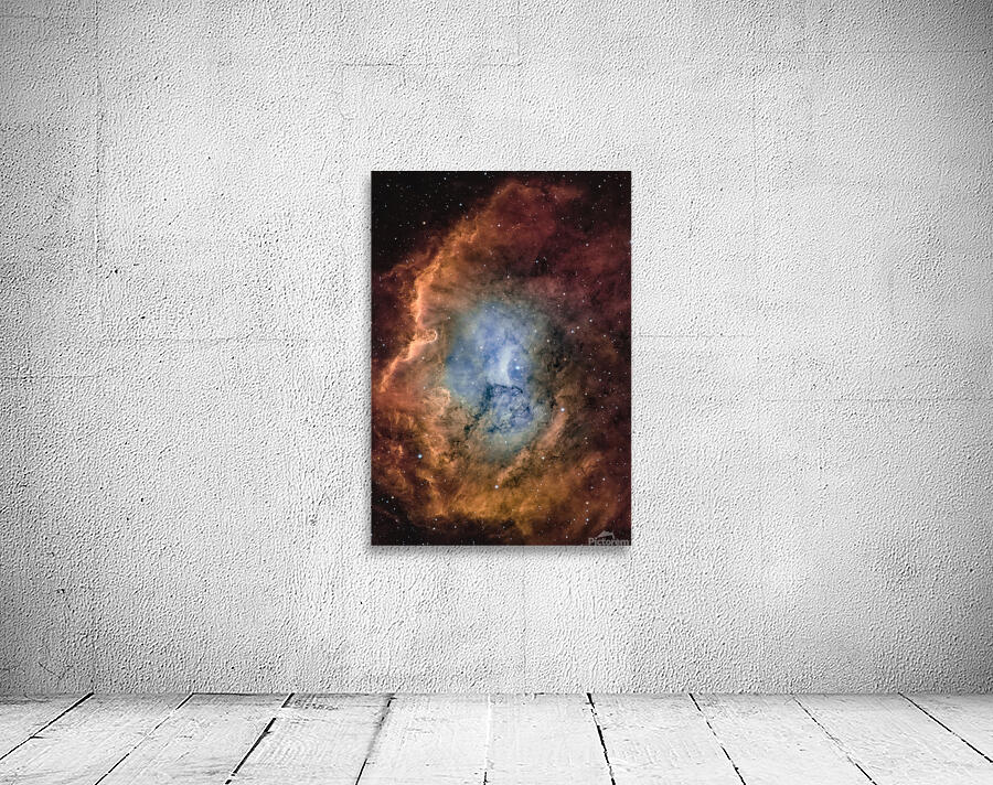 CED 116 Wall Preview