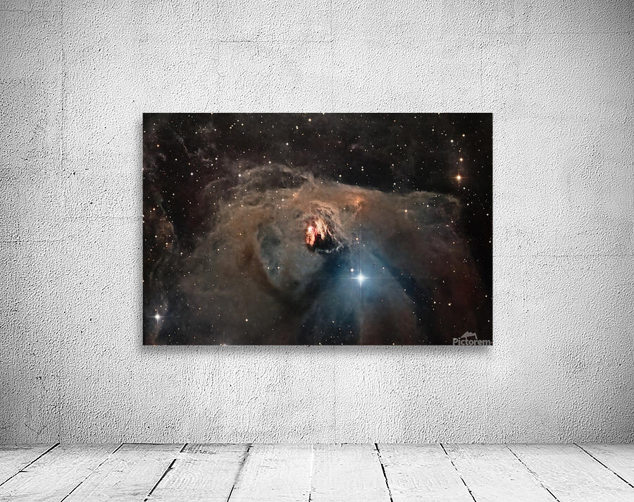 NGC 1555 Wall Preview