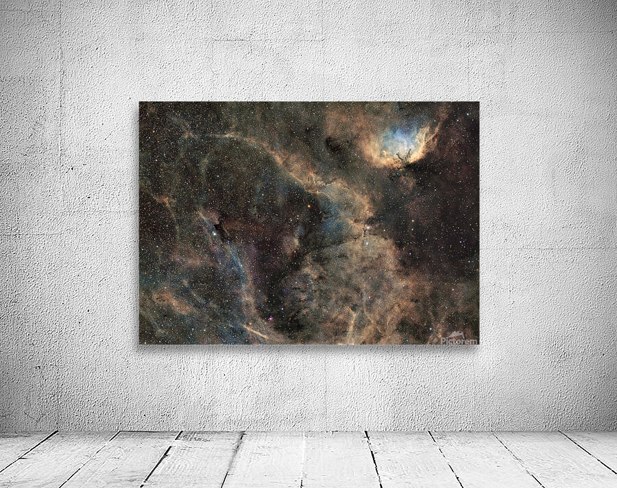 Tulip Nebula Wall Preview