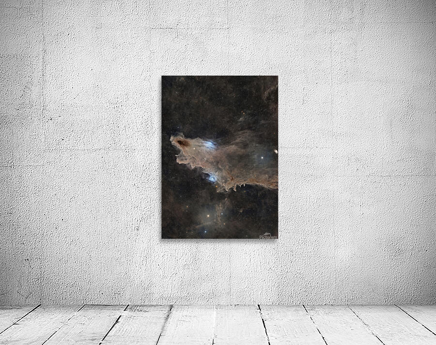 Dark Shark Nebula Wall Preview