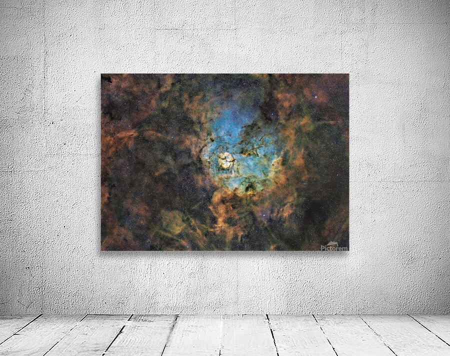 SH2 124 Wall Preview
