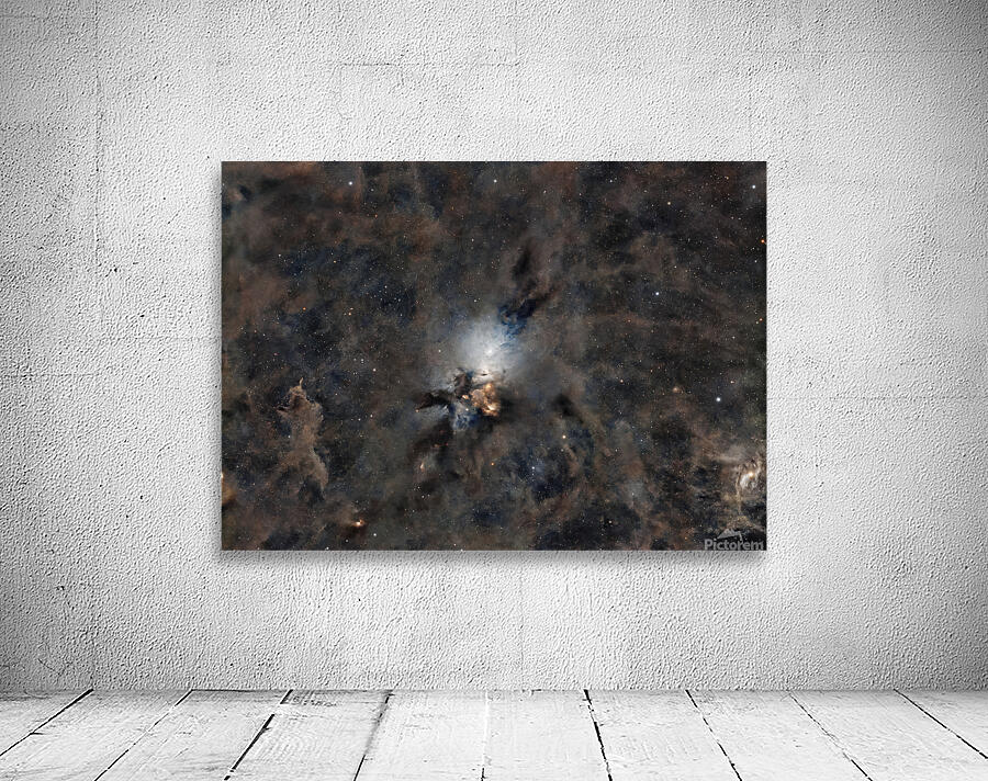 Embryo Nebula Wall Preview
