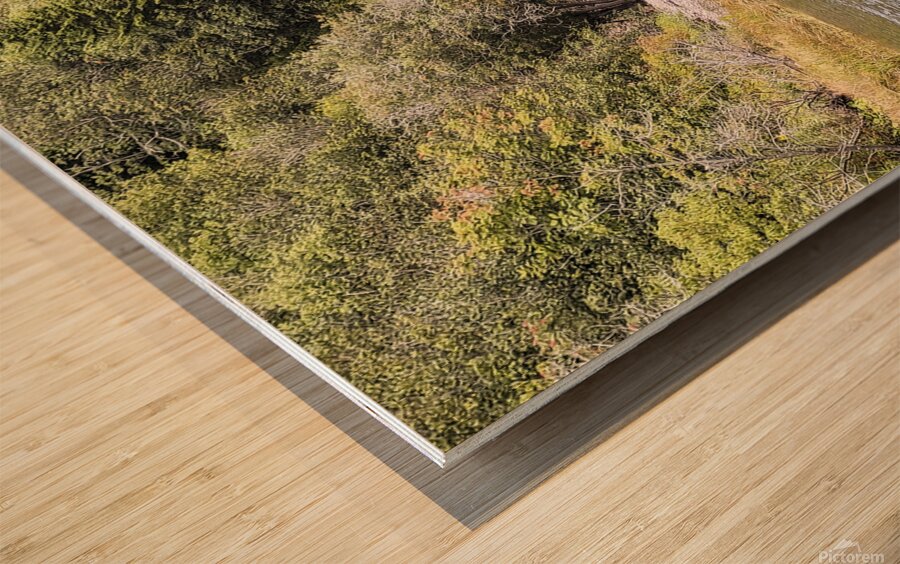 Small Waterfall Wood print