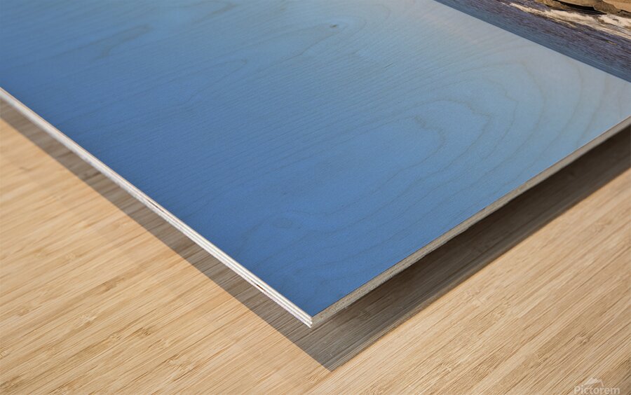 Rocky Beach Wood print