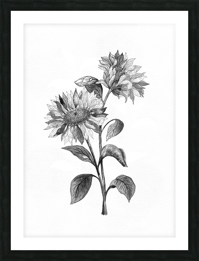 THE SUNFLOWERS Picture Frame print