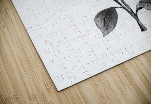 THE SUNFLOWERS Rena Matha puzzle