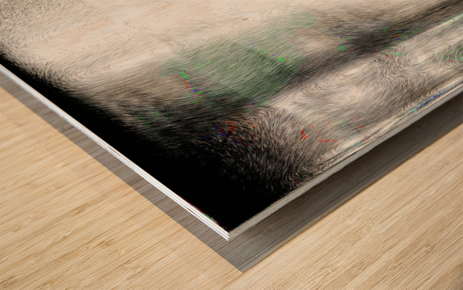 Blue angel art abstract design 117 Impression sur bois