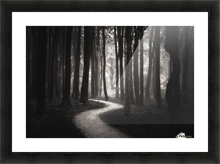 Snakes path Picture Frame print