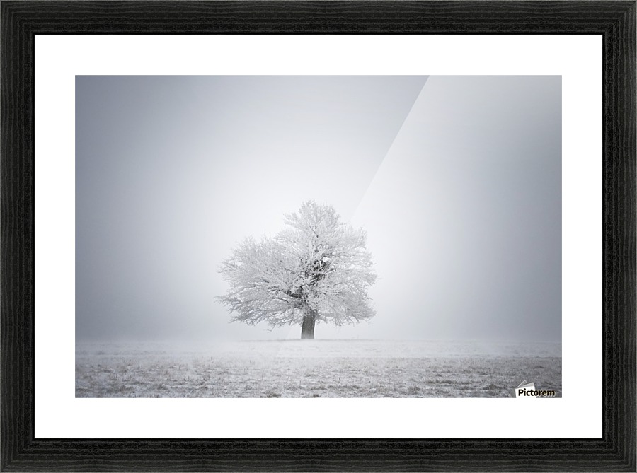 White solitude and light Picture Frame print