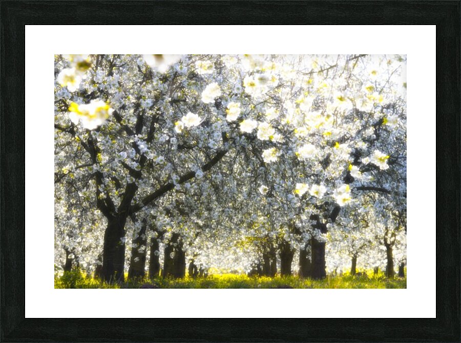 Velvet spring Picture Frame Printing