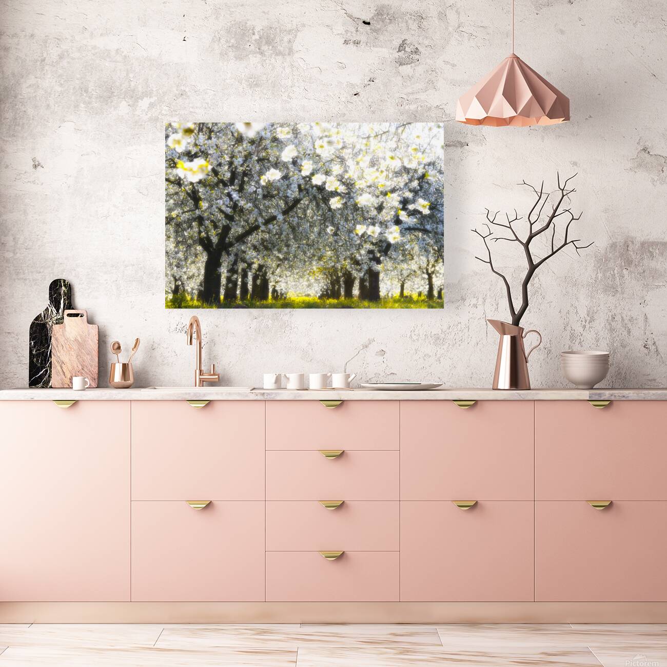 Velvet spring Reproduction