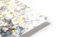 Velvet spring HD Metal print