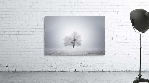 White solitude and light Wall Preview