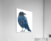 The Opportunist Acrylic Print