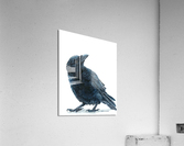 Conundrum Acrylic Print