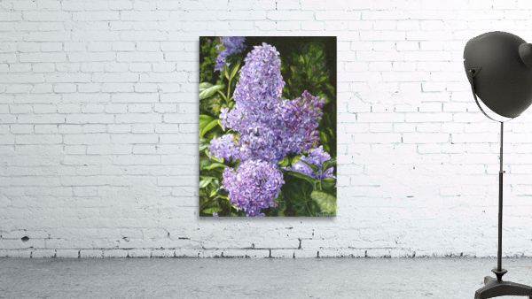 Spring Scentsation Wall Preview