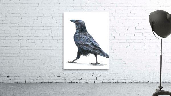 Strutting its Stuff Wall Preview