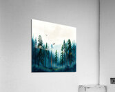 lIGHT IN THE FOREST  Acrylic Print