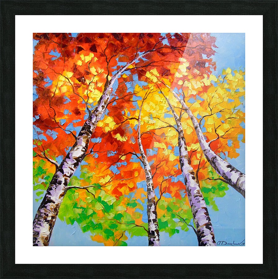Sky birch Picture Frame print