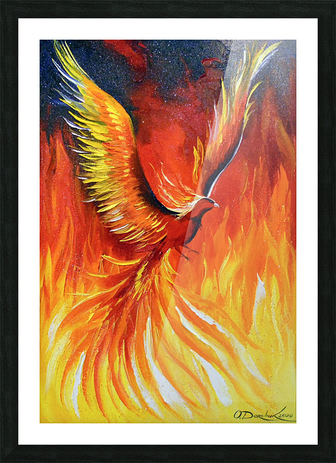 Phoenix bird  Picture Frame print