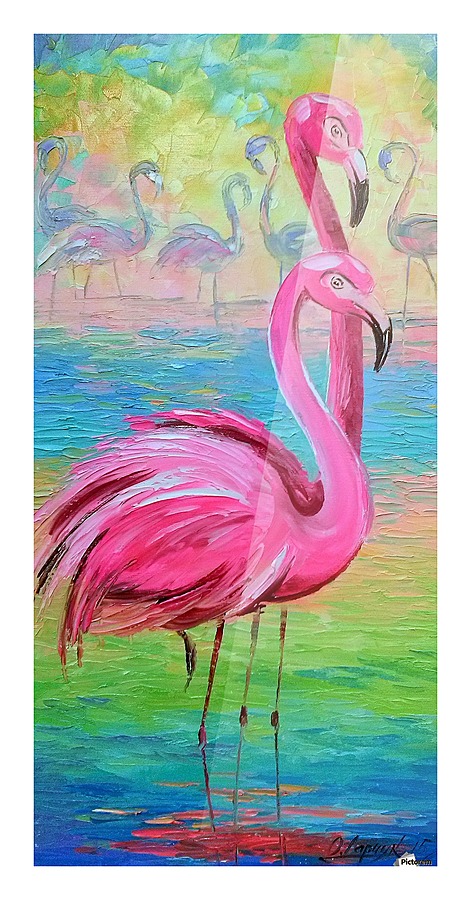 Flamingo Picture Frame print