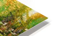 Pond HD Metal print