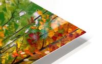Autumn road HD Metal print