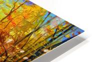 Autumn silence  HD Metal print