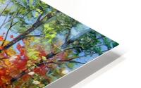 Autumn pond  HD Metal print