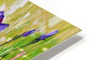 Irises HD Metal print