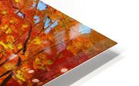 Autumn walk  HD Metal print