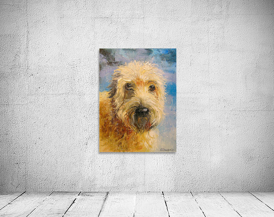 Terrier Wall Preview
