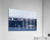 Oies blanches 1 Acrylic Print