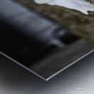 oies blanches 3 Metal print