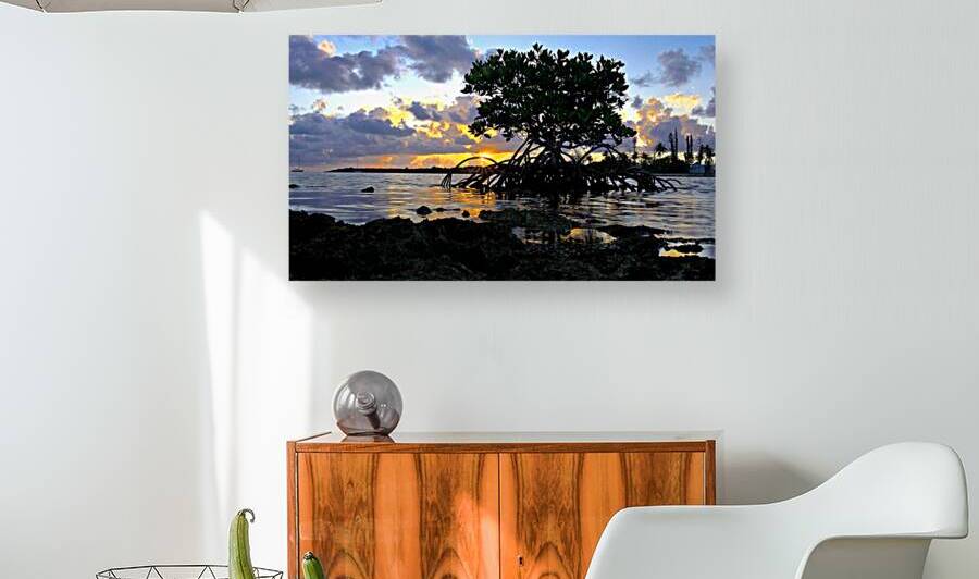 Mangrove Sunrise — Marathon Key Florida | Fine Art Print by Michael Klinger Photographer Adventure Photos