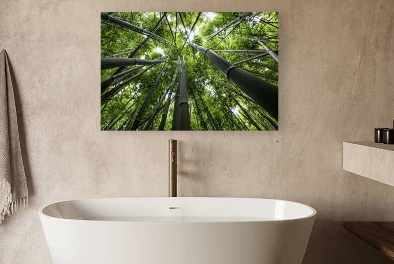Bamboo Forest Canopy — Looking Up | Fine Art Print by Michael Klinger Photographer Adventure Photos